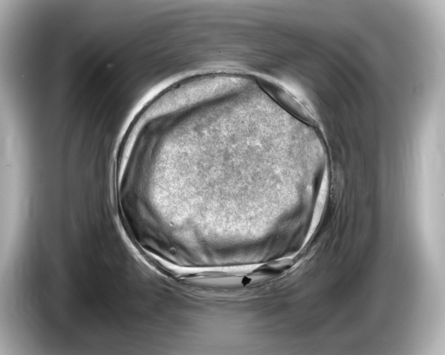 X0000085751295200704091309