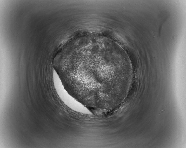 X0000085751298200704091308