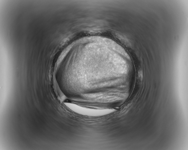 X0000085751300200704091308