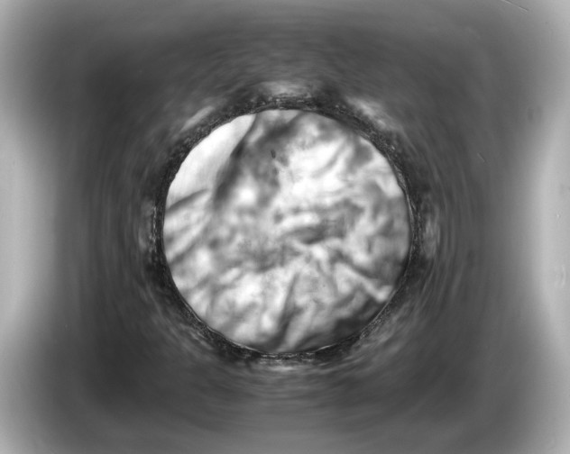 X0000085751301200704091308