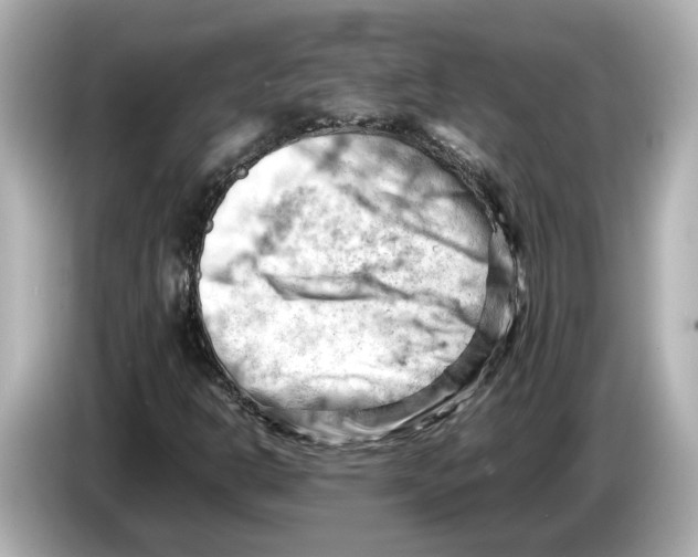 X0000085751302200704091308