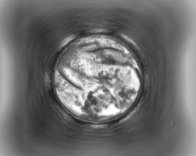 X0000085751305200704091309