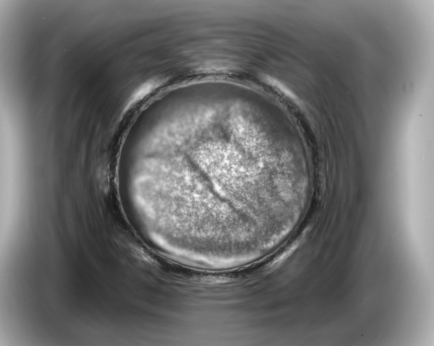 X0000085751306200704091309