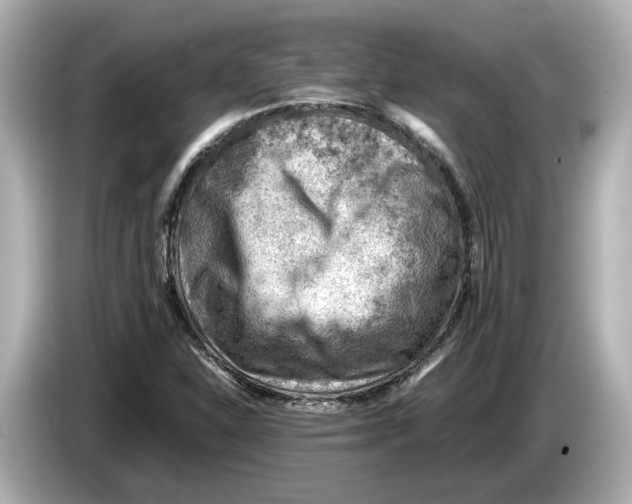 X0000085751310200704091309