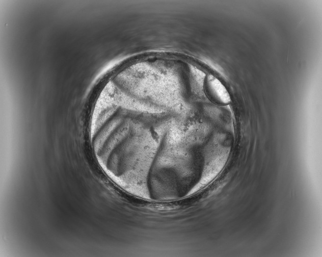 X0000085751311200704091309