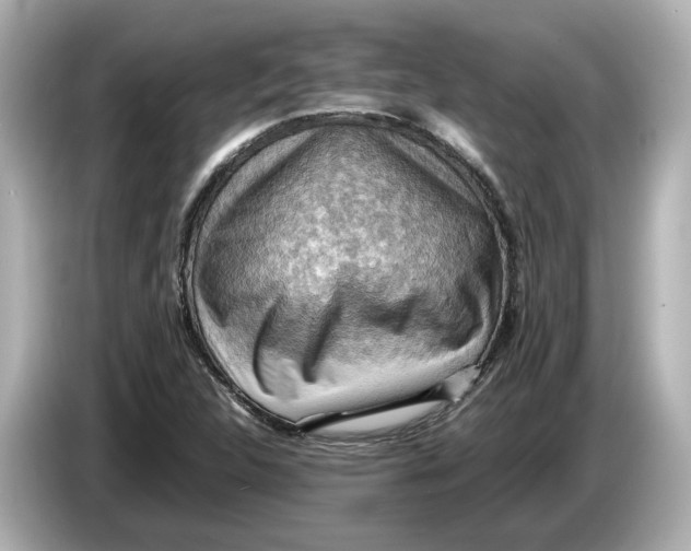 X0000085751312200704091309