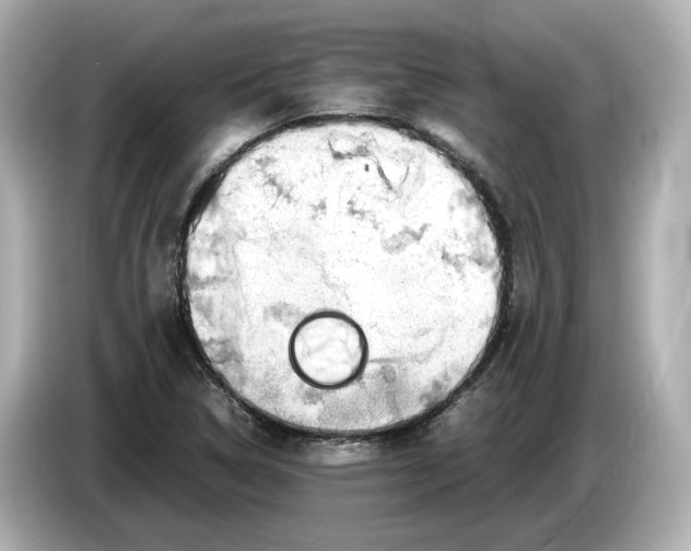 X0000085751314200704091309