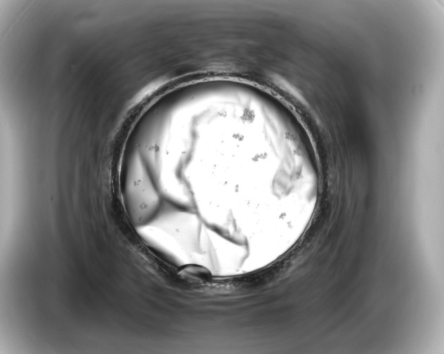 X0000085751315200704091309