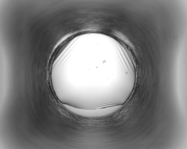 X0000085751316200704091309