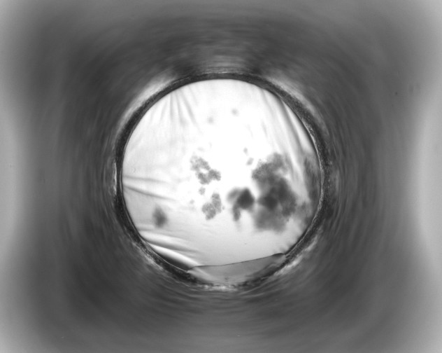 X0000085751317200704091309