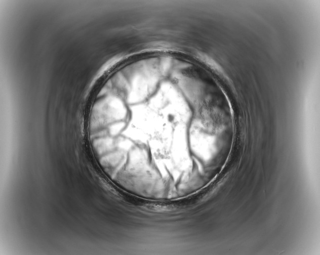 X0000085751318200704091309