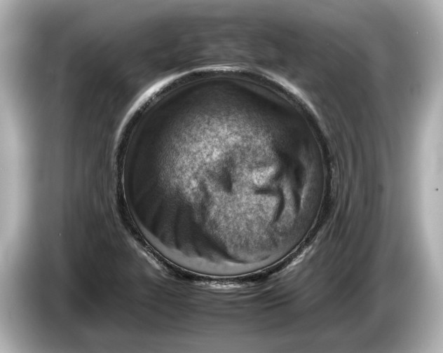 X0000085751319200704091309