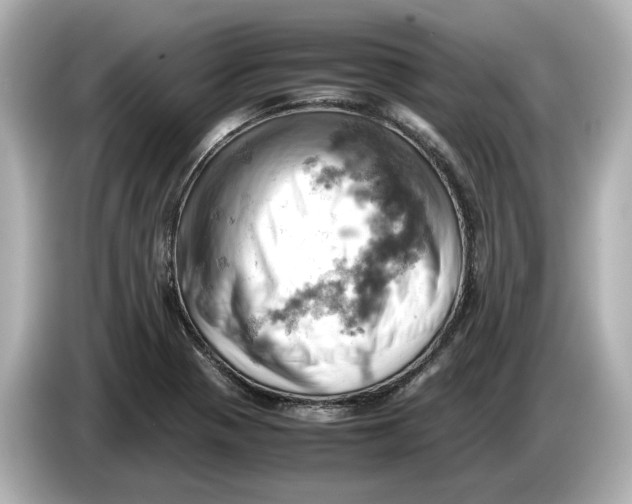 X0000085751321200704091309