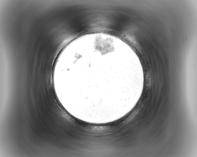 X0000085751322200704091309