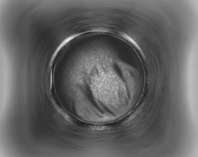 X0000085751323200704091309