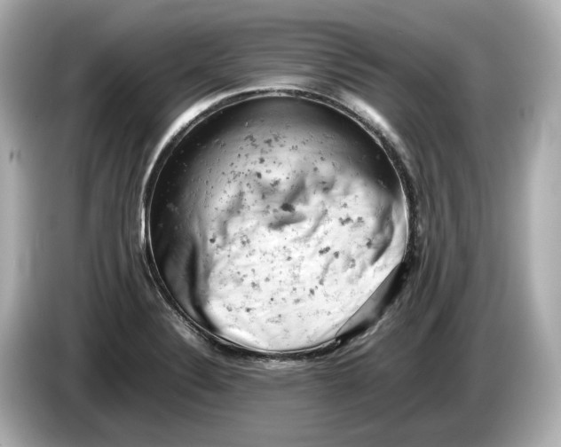 X0000085751324200704091309