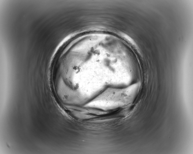 X0000085751326200704091309