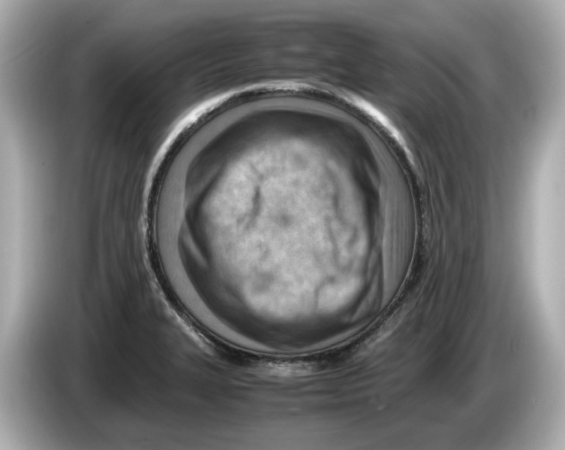 X0000085751327200704091309