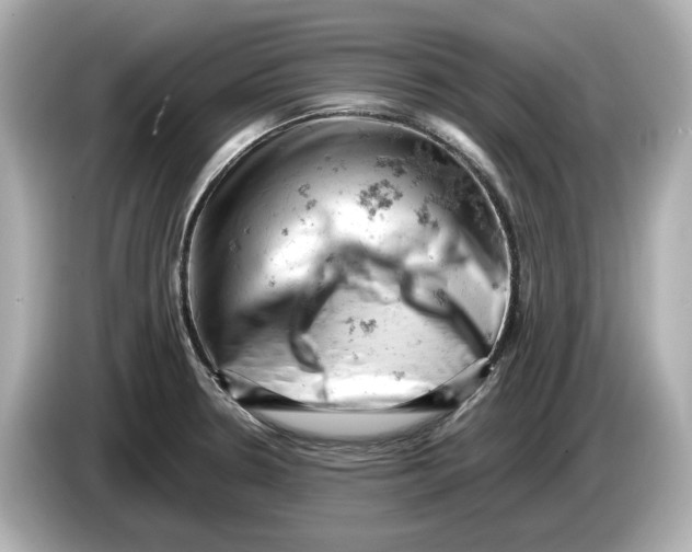 X0000085751330200704091309