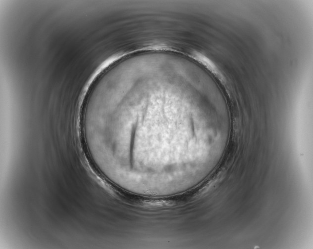 X0000085751331200704091309