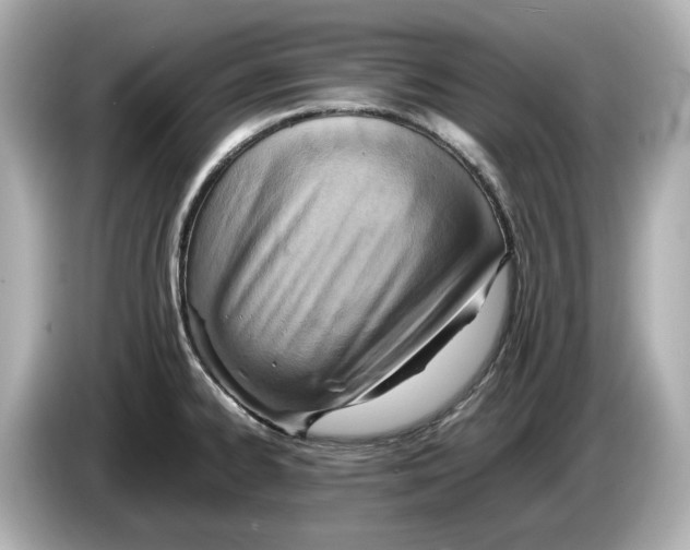 X0000085751334200704091309