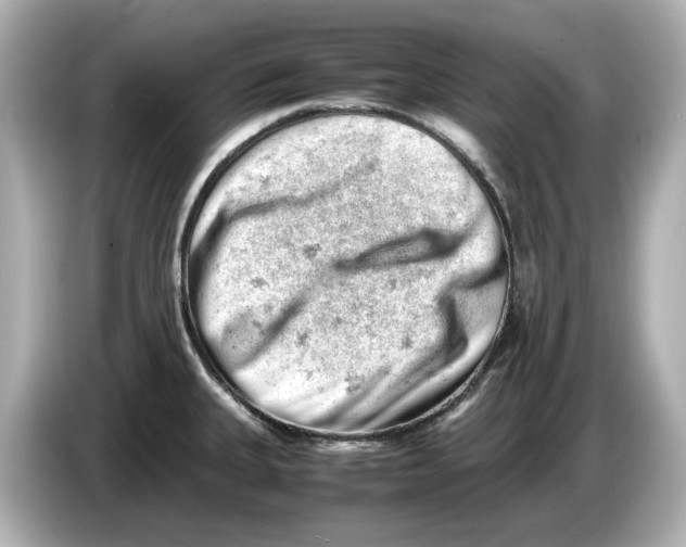 X0000085751335200704091309