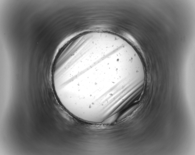 X0000085751336200704091309