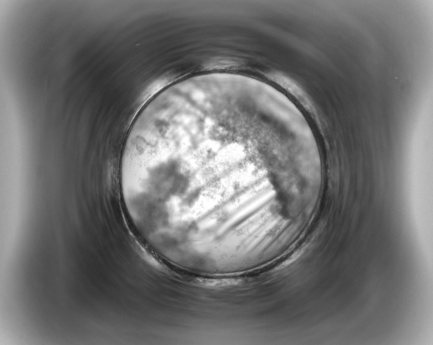 X0000085751337200704091309