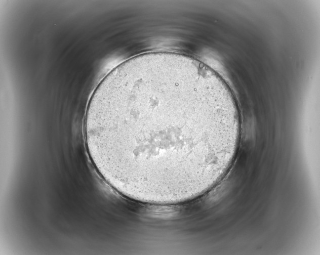 X0000085751338200704091309