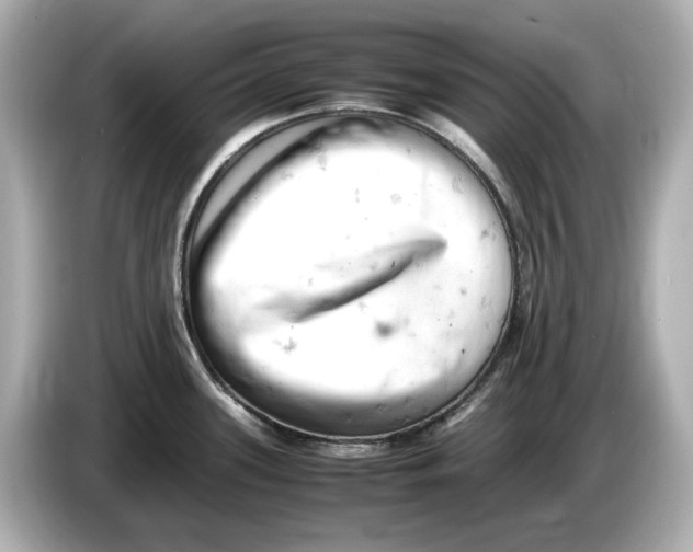 X0000085751339200704091309