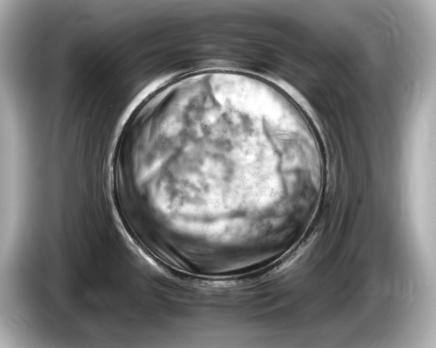 X0000085751341200704091309