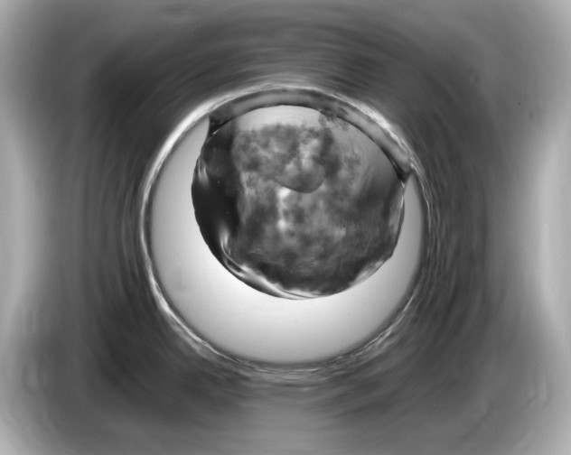 X0000085751342200704091309