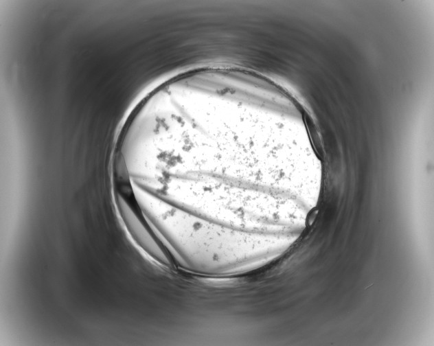 X0000085751343200704091309