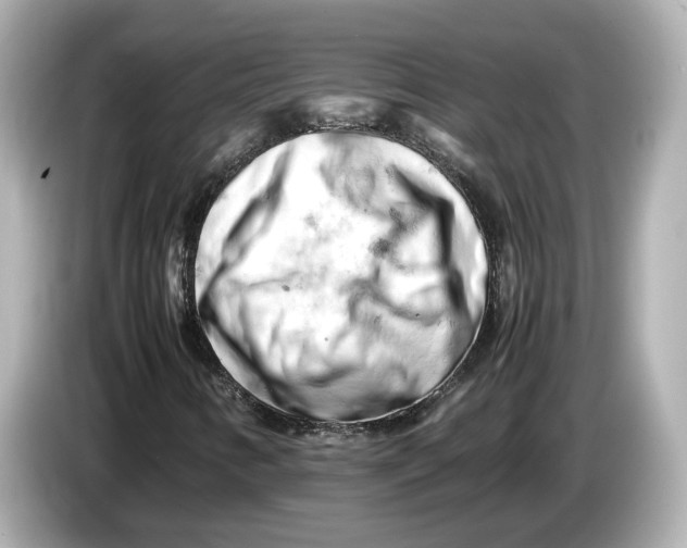 X0000085751346200704091308