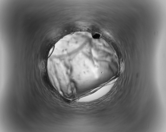 X0000085751347200704091308