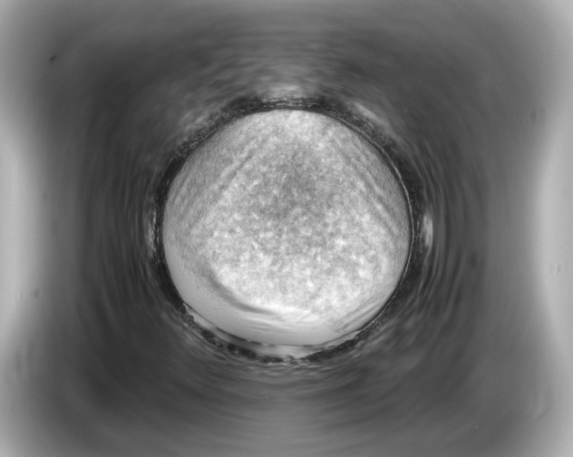 X0000085751348200704091308