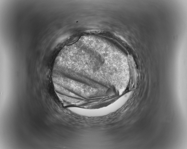 X0000085751351200704091308