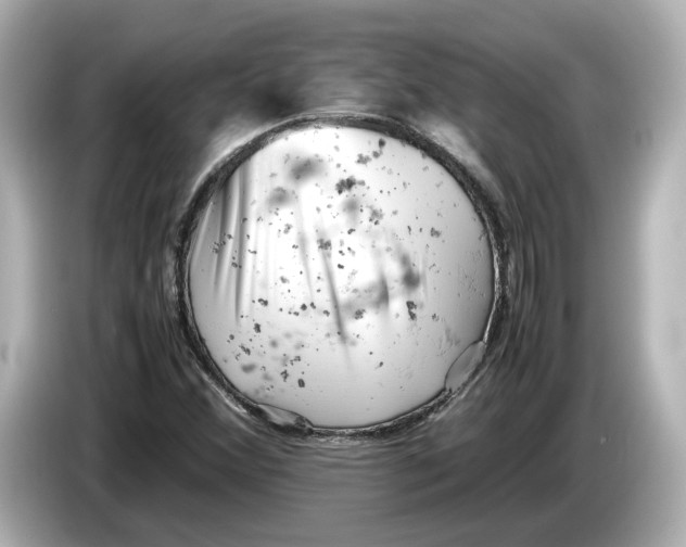 X0000085751356200704091308