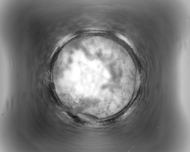 X0000085751357200704091308