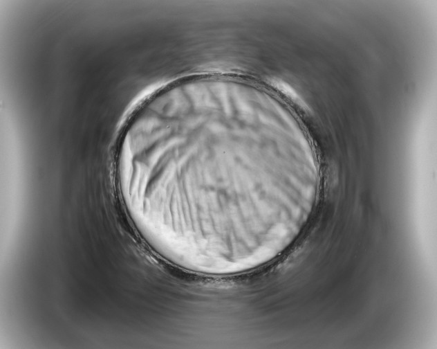 X0000085751358200704091308