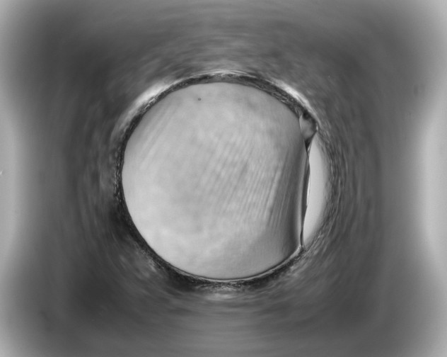 X0000085751359200704091308