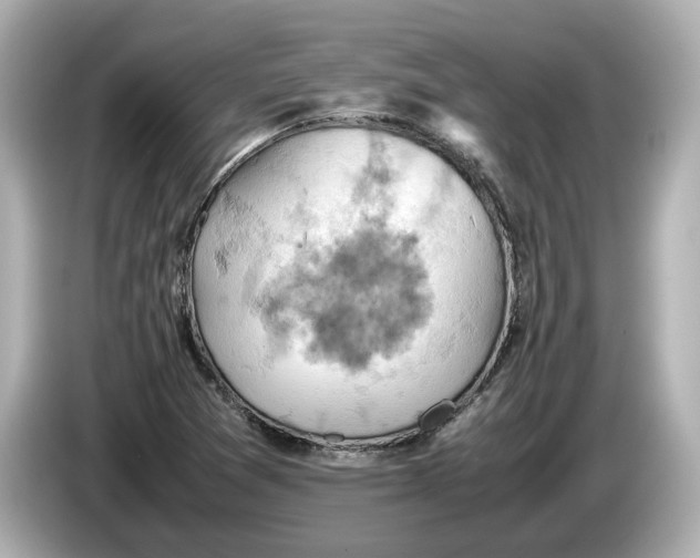 X0000085751361200704091308