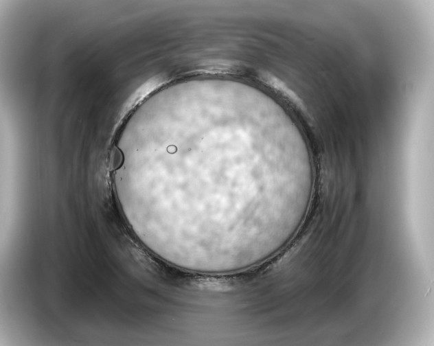 X0000085751362200704091308