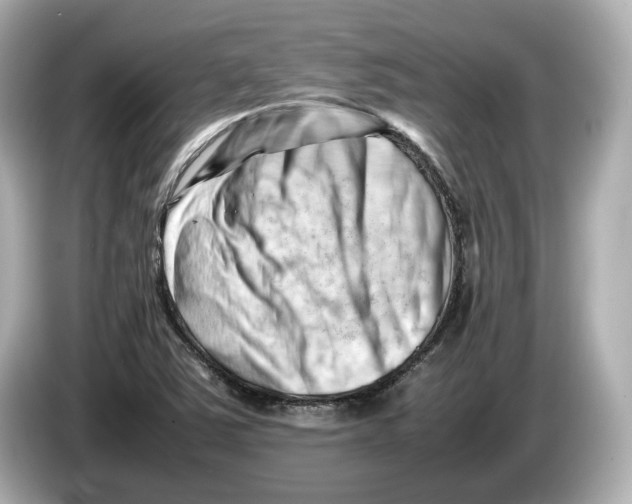 X0000085751363200704091308