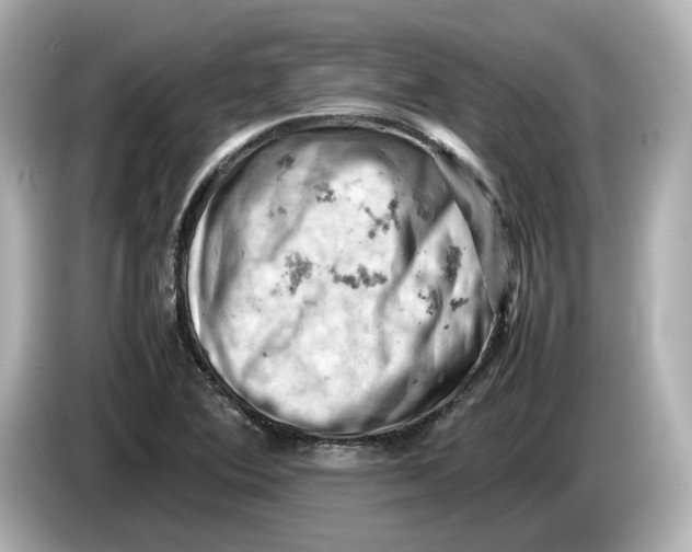 X0000085751364200704091308