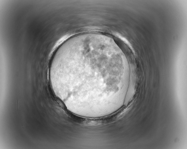 X0000085751365200704091308