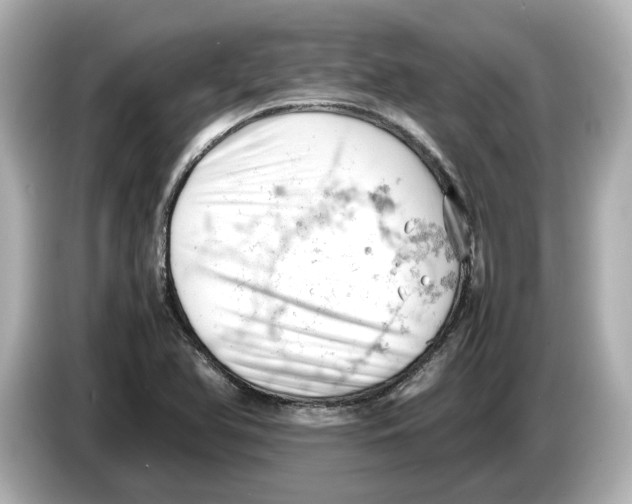 X0000085751366200704091308