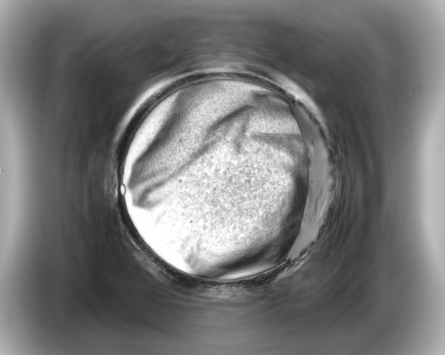 X0000085751368200704091308