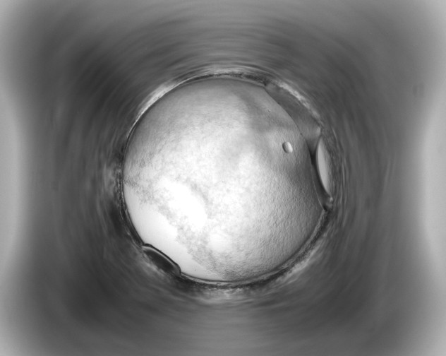 X0000085751369200704091308