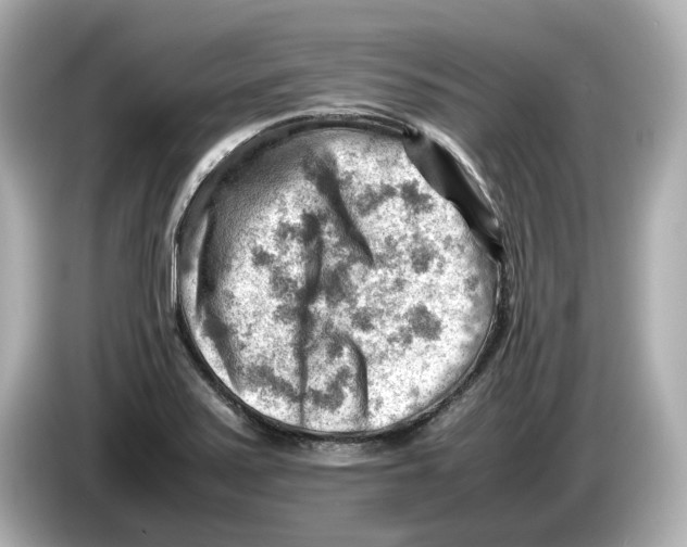 X0000085751371200704091308